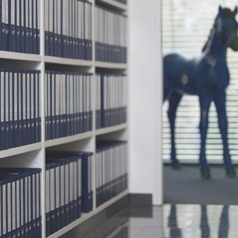 gefüllter Akten Schrank und blaue Pferdeskulptur im Hintergrund
